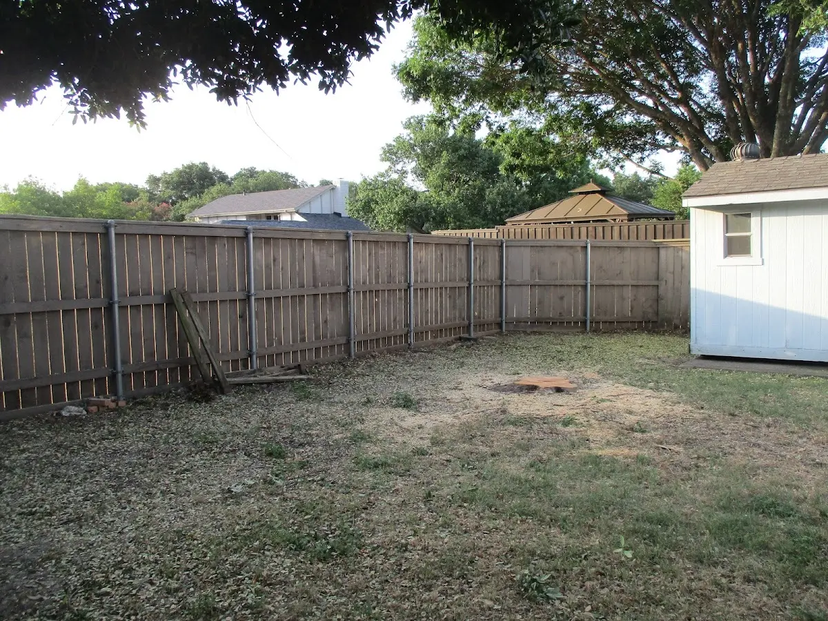 Cleared yard after professional tree removal in Hiawatha