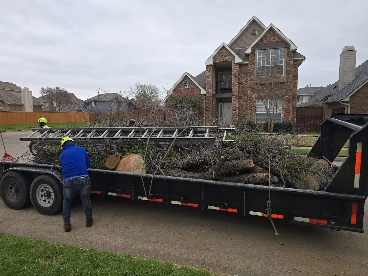 Expert Tree Removal with proper safety equipment in Hiawatha